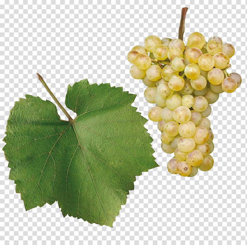 Sultana Chardonnay Gouais blanc Chenin blanc Gewürztraminer, wine transparent background PNG clipart