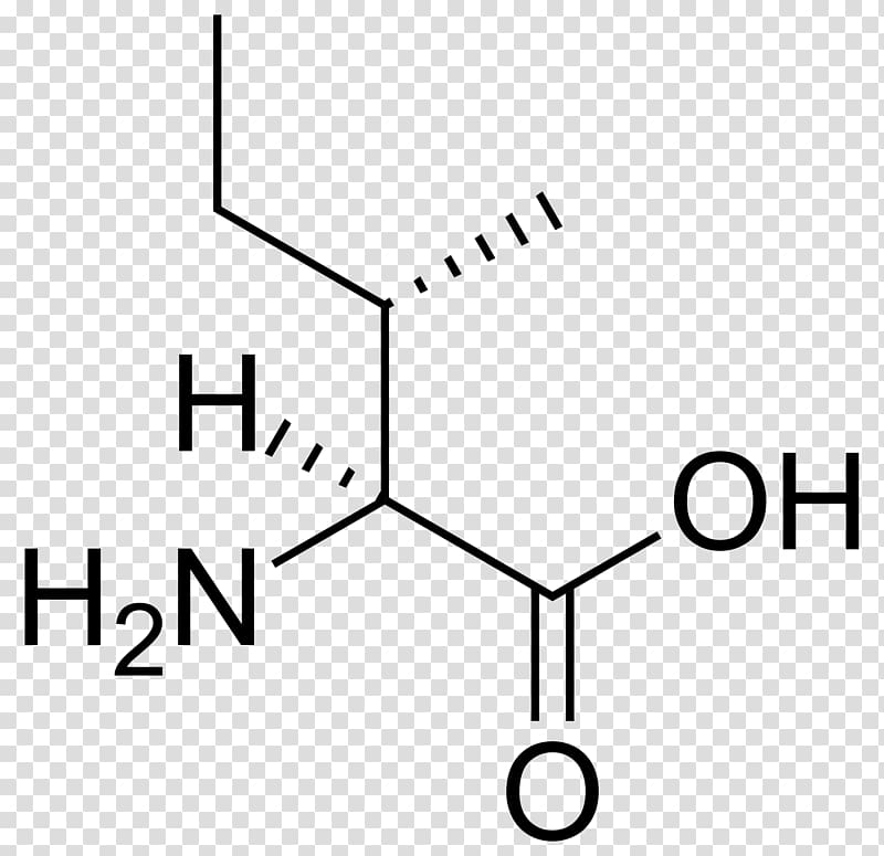 Isoleucine Branched-chain amino acid Proteinogenic amino acid Essential amino acid, urine transparent background PNG clipart