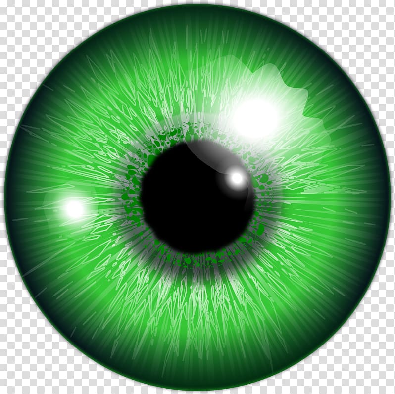 green eye iris, Eye color Lens flare, Eye transparent background PNG clipart