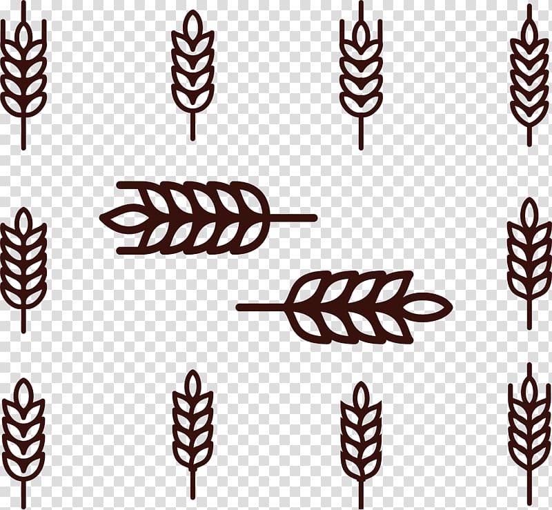 Wheat Cereal Rice Icon, Rice ear Icon transparent background PNG clipart