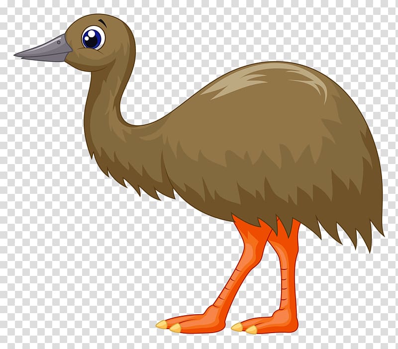 Common ostrich Bird , Brown ostrich transparent background PNG clipart