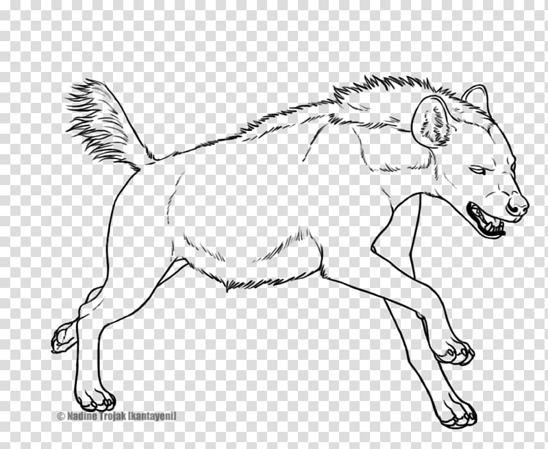 Striped hyena Line art Drawing Spotted hyena, hyena transparent background PNG clipart