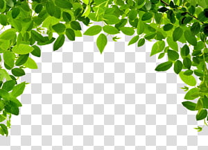 Free: Leaf Flower Clip Art - Green Corner Border Png 