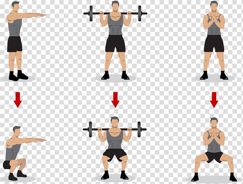 Squat Olympic weightlifting Physical exercise Strength training, Gymnastics Weightlifting transparent background PNG clipart