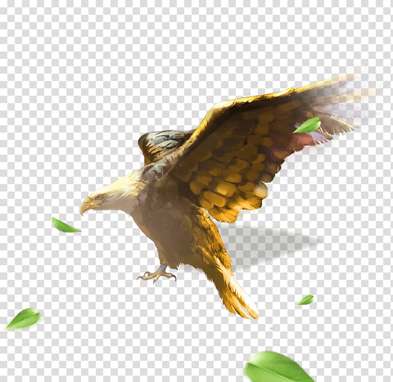 Bald Eagle The Legend of the Condor Heroes, Zhanyi painted golden falcon transparent background PNG clipart