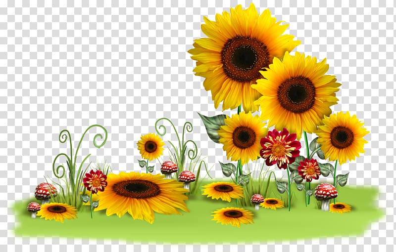 Message Morning Day, sunflower oil transparent background PNG clipart