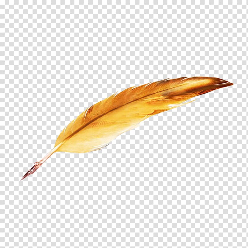 brown feather , Pen Paper Quill, pen transparent background PNG clipart