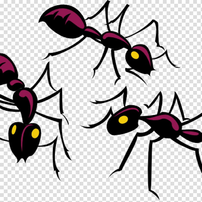 Black garden ant Insect graphics, insect transparent background PNG clipart