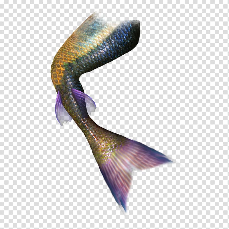 blue and brown fishtail, Tail Mermaid Green Fish, Creative decorative mermaid tail transparent background PNG clipart