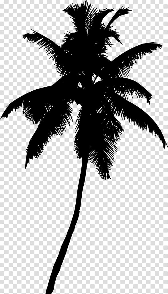 Arecaceae Tree Plant , palm leaves transparent background PNG clipart