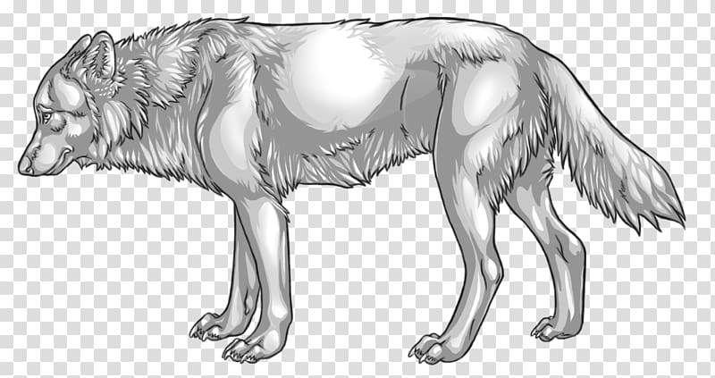 Gray wolf Line art Sketch, psd shading transparent background PNG clipart
