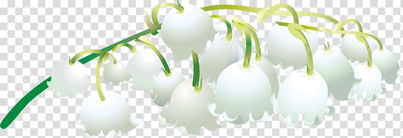 Flower Lilies Madonna Lily Plant Petal, flower transparent background PNG clipart