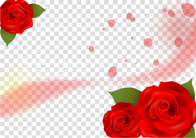 Garden roses Beach rose Red, Rose background material transparent background PNG clipart