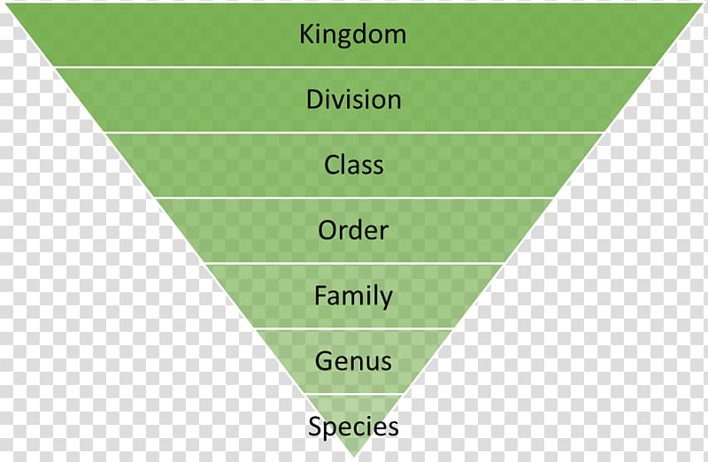 Recycling Reuse Waste hierarchy Marketing, garbage classification transparent background PNG clipart