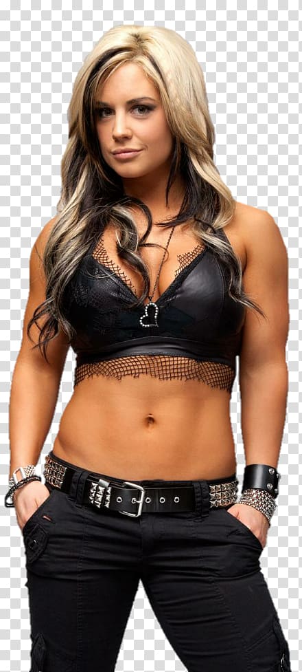 Kaitlyn WWE Superstars WWE Divas Championship Women in WWE, wwe transparent background PNG clipart