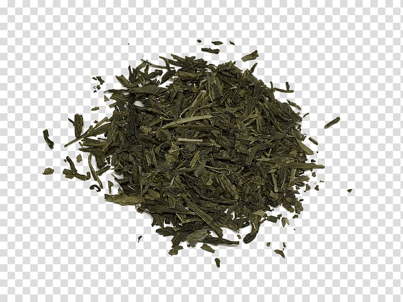 Gyokuro Sencha Nilgiri tea Oolong, tea transparent background PNG clipart