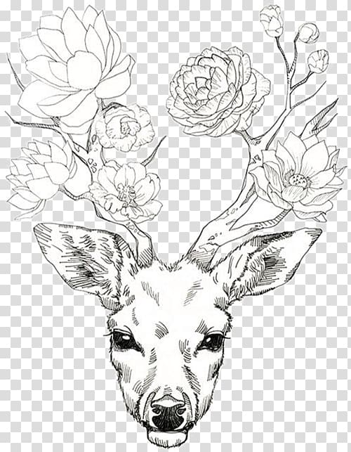 Deer Antler Drawing Flower Elk, deer transparent background PNG clipart