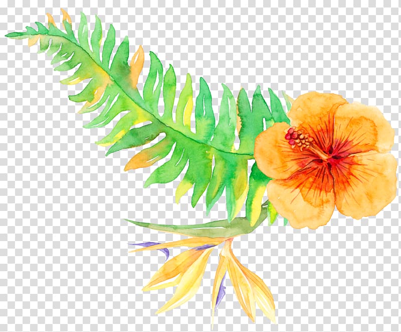 Tropics Tropical vegetation, Tropical plants, orange and green hibiscus flower illustration transparent background PNG clipart