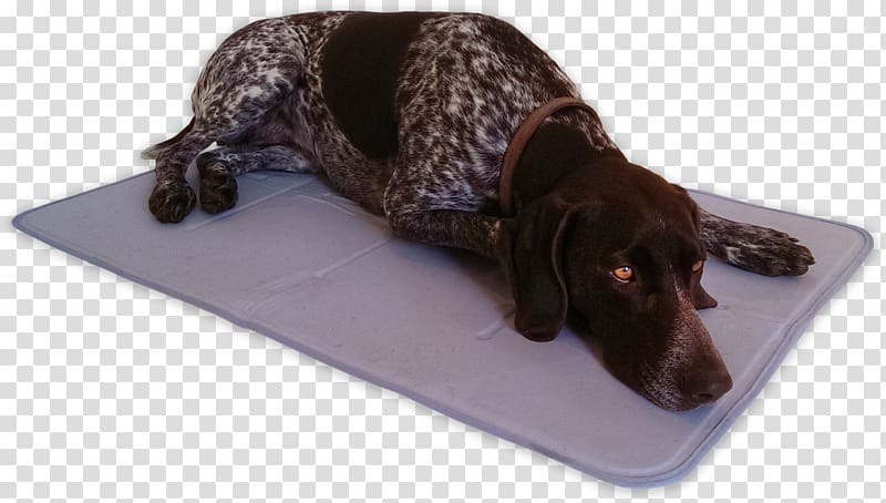 AniMat Cool Gel Mat Dark Blue Nylon Dog breed Bed, original pound puppies transparent background PNG clipart
