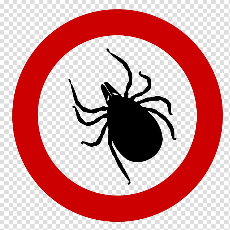 Deer tick Ixodes ricinus Tick-borne disease Lyme disease, Red circle spider transparent background PNG clipart