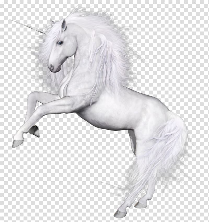 Unicorn Horse Oreus Kristian\'s Quest Mane, Unicorn transparent background PNG clipart