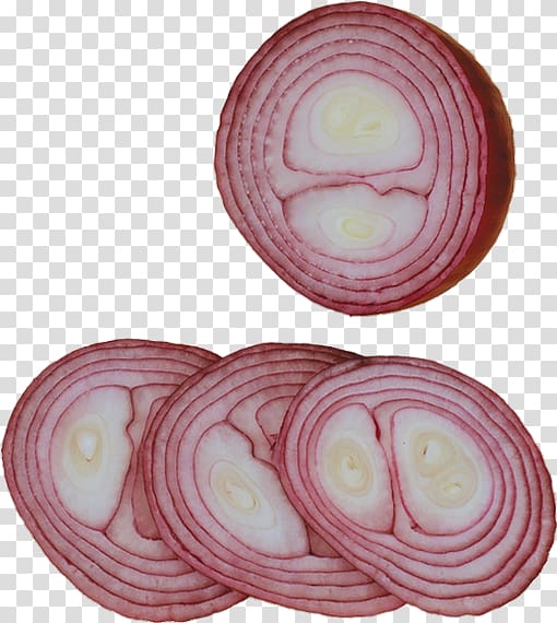 Red onion Vegetable Garlic, onions transparent background PNG clipart