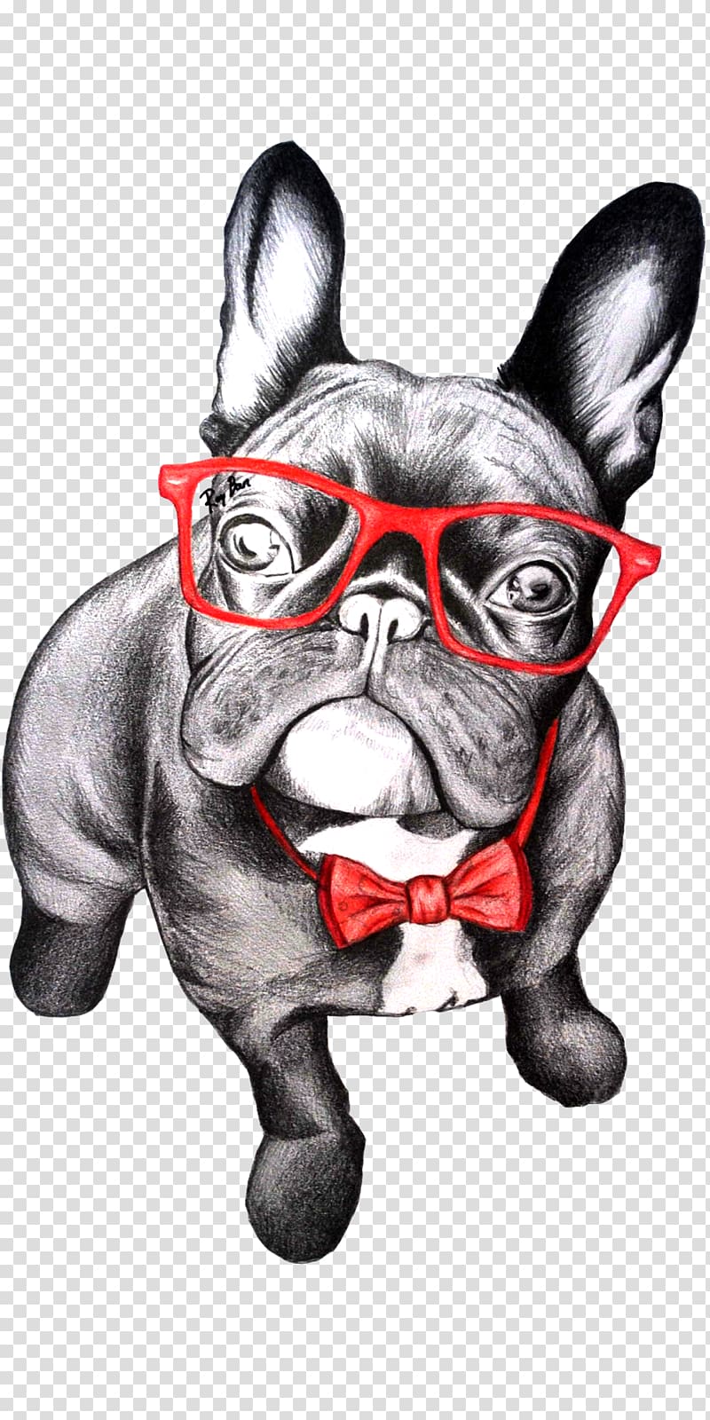 French bulldog , French Bulldog T-shirt Pug Puppy, the dog painted transparent background PNG clipart