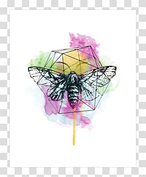 Pink M, others transparent background PNG clipart thumbnail