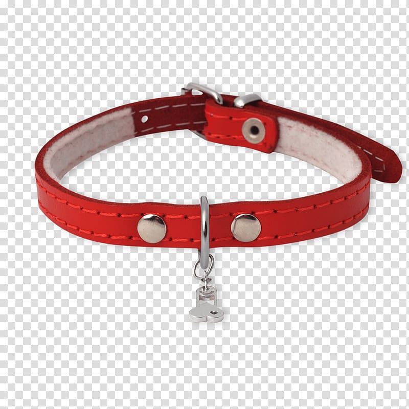 Bracelet Dog collar, Dog transparent background PNG clipart