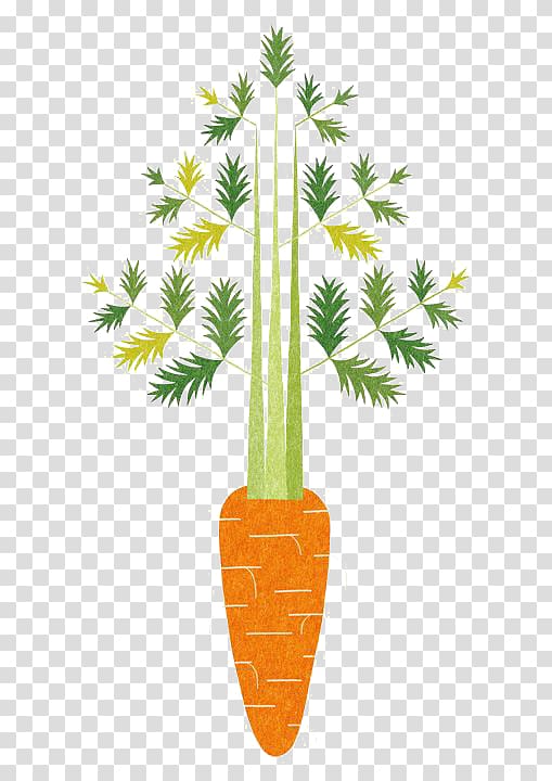 Oisix CRAZY for VEGGY Food Illustrator Vegetable Illustration, carrot transparent background PNG clipart