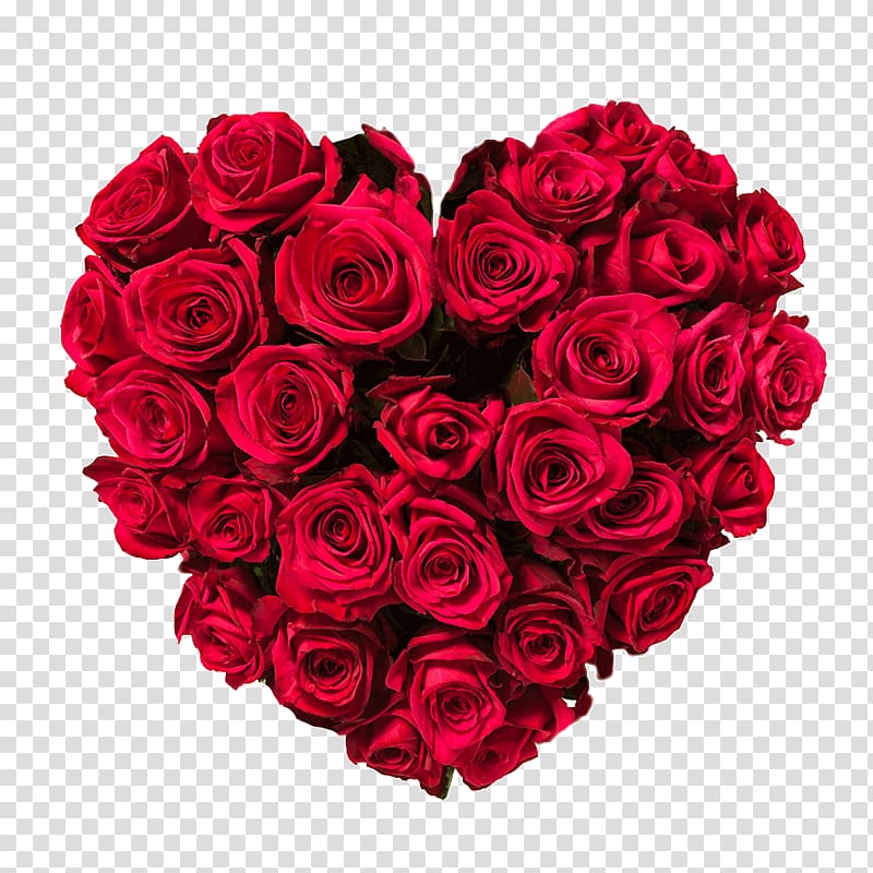 Flower Rose Heart Red, rich flowering transparent background PNG clipart
