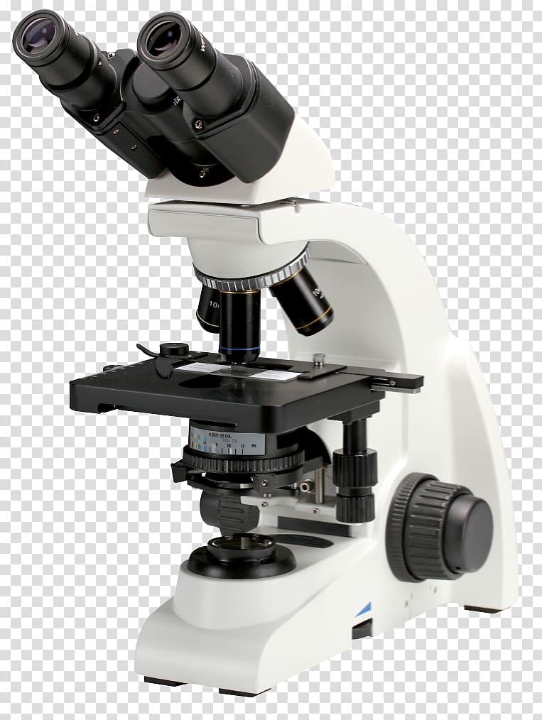 Optical microscope Phase contrast microscopy Stereo microscope Optics, microscope transparent background PNG clipart