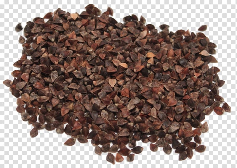 Buckwheat Seed Cocoa bean Bird, BUCKWHEAT transparent background PNG clipart