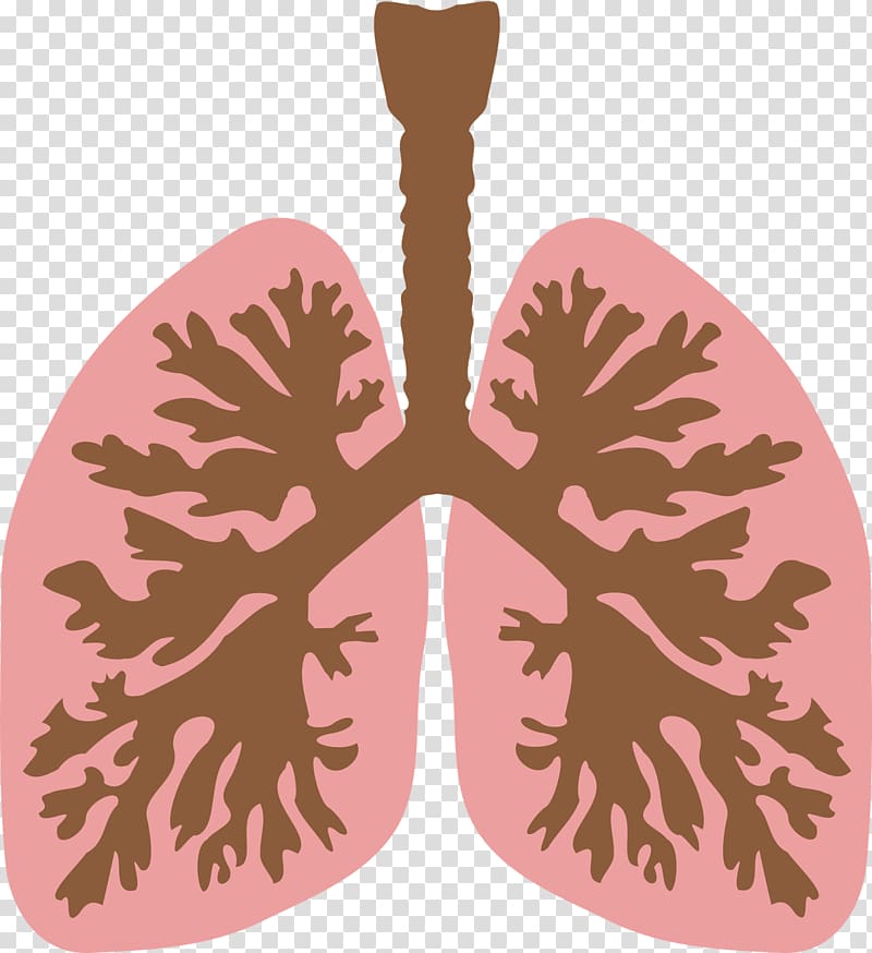 Lung Computer Icons , lungs transparent background PNG clipart