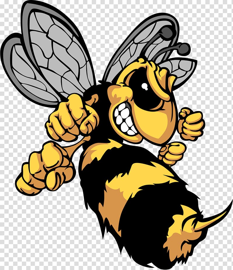 Bee Hornet Insect Yellowjacket, bumble bee transparent background PNG clipart