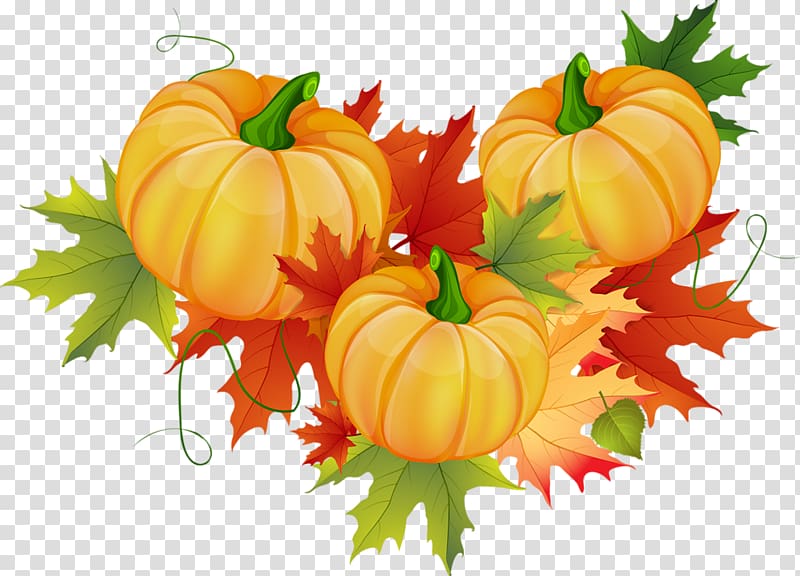 Autumn Pumpkin , autumn transparent background PNG clipart