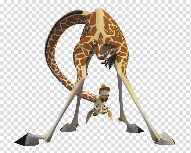 Melman Alex Gloria Madagascar Kowalski, 3d giraffe transparent background PNG clipart