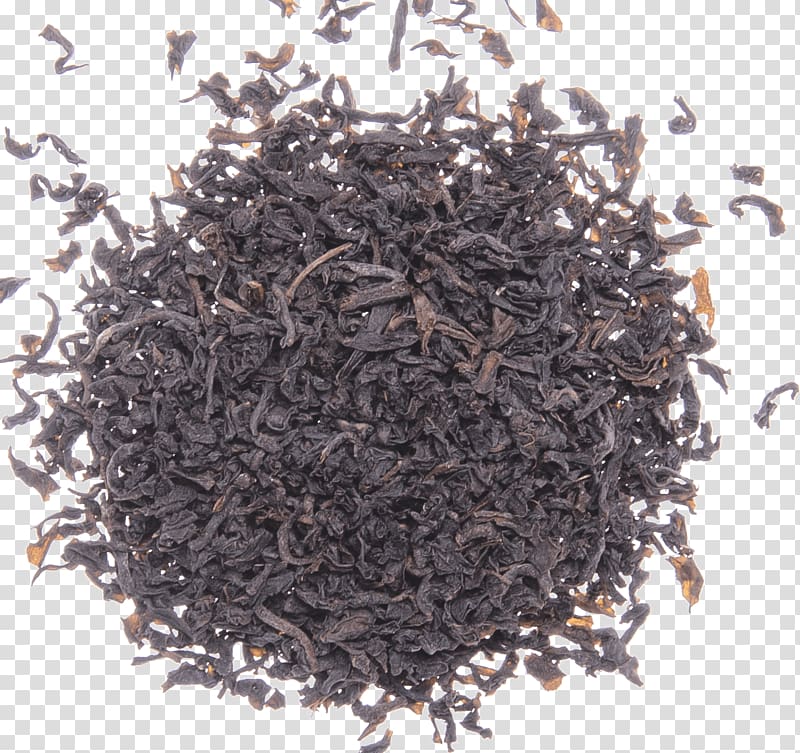 Organic food Compost City: Practical Composting Know-How for Small-Space Living Sewage sludge, oolong Tea transparent background PNG clipart