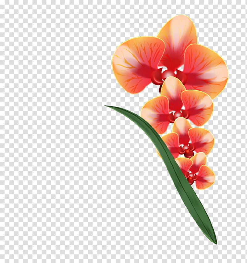 Cut flowers Sticker , realistic transparent background PNG clipart