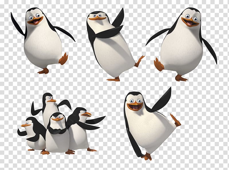 Madagascar penguins transparent background PNG clipart