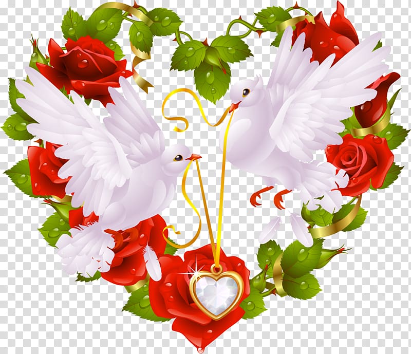 Columbidae Bird Heart , Weeding transparent background PNG clipart