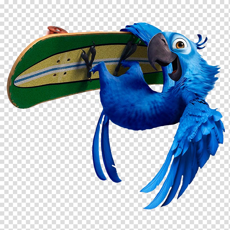 Blu Nigel Linda Bia Rio, BLUE Macaw transparent background PNG clipart