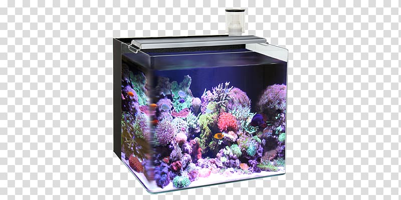 Reef aquarium Nano aquarium Light Liter, Nano Aquarium transparent background PNG clipart
