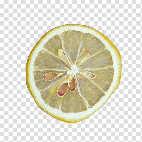Lemon Computer file, Dry lemon slices transparent background PNG clipart