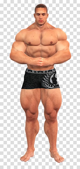 Bodybuilding transparent background PNG clipart