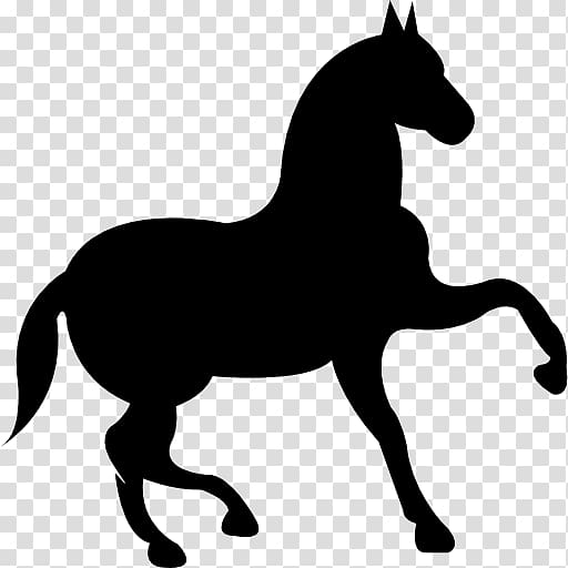 Morgan horse Black Equestrian , horseshoe transparent background PNG clipart