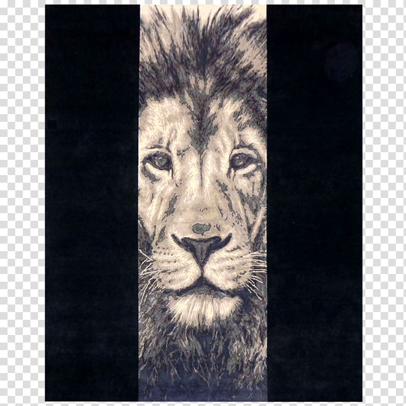 Lion Drawing Cat Tattoo Sketch, lion transparent background PNG clipart
