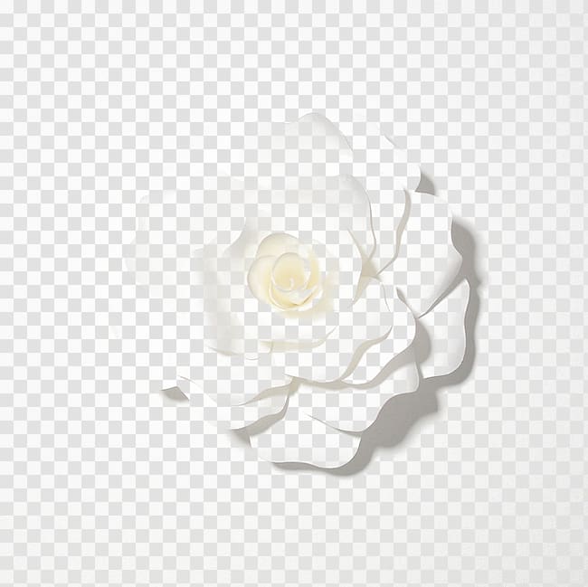 Tmall Flower Designer, White flower transparent background PNG clipart