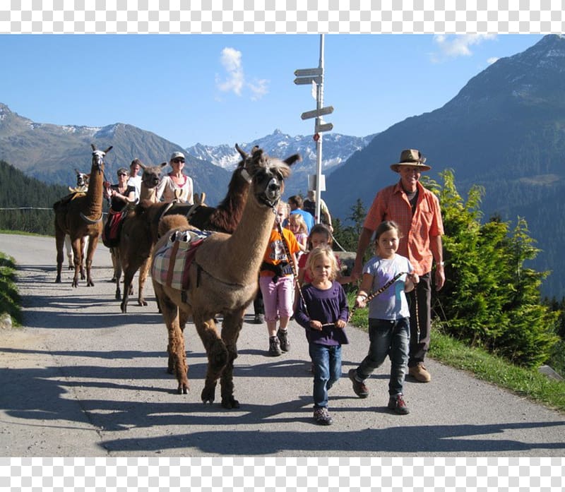 Montafon Kristbergbahn Silbertal GmbH Montafon Kristbergbahn Silbertal GmbH Horse On the trail of Silbi, Oberschwaben Tourismus Gmbh transparent background PNG clipart