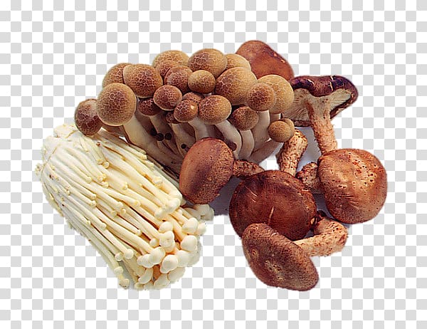 Edible mushroom Fried rice Sichuan cuisine Cooking, Fresh Mushroom transparent background PNG clipart